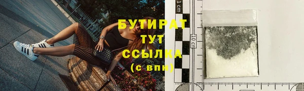 дживик Няндома