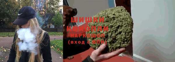 дживик Няндома