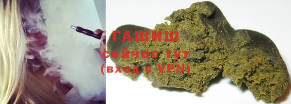 дживик Няндома