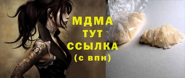 дживик Няндома