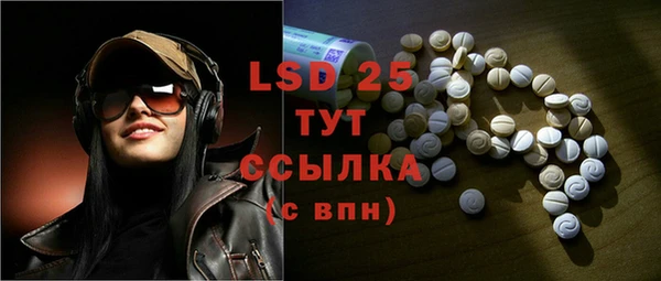дживик Няндома
