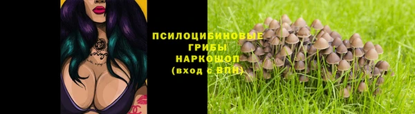 PSILOCYBIN Краснотурьинск