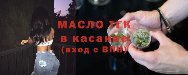 дживик Няндома