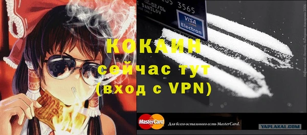 дживик Няндома