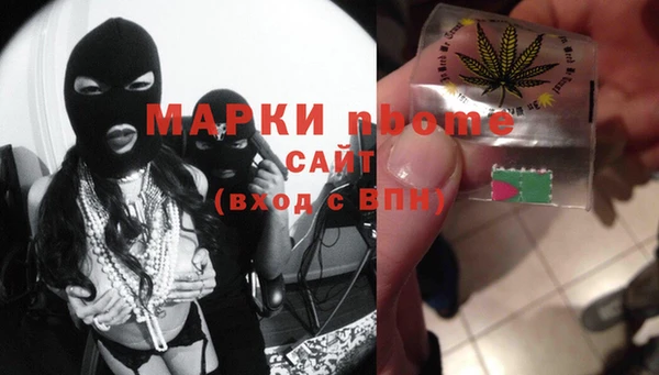 дживик Няндома