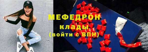 дживик Няндома
