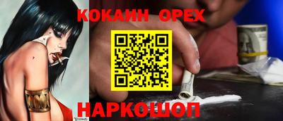 амф Кингисепп