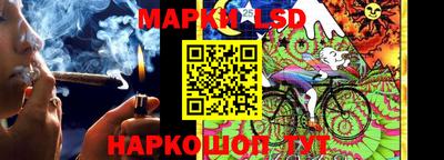 гашик Кимры