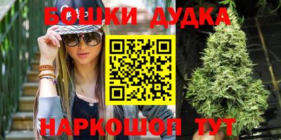 амф Кингисепп