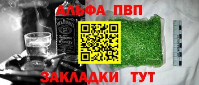 амф Кингисепп