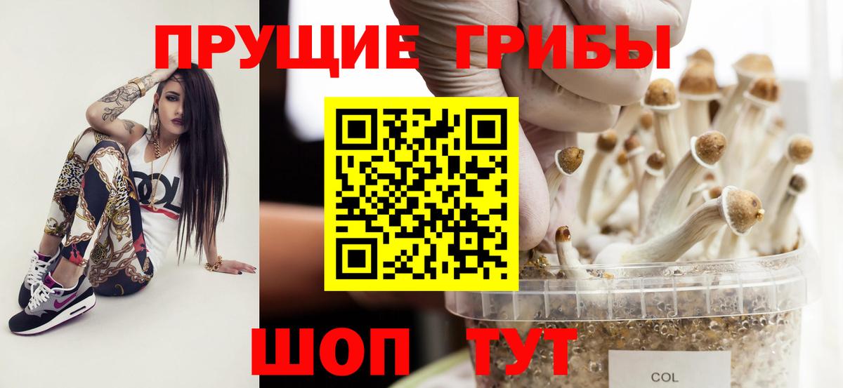где найти   Галлюциногенные грибы мухоморы  Лиски  Вход с VPN  Галлюциногенные грибы мухоморы 