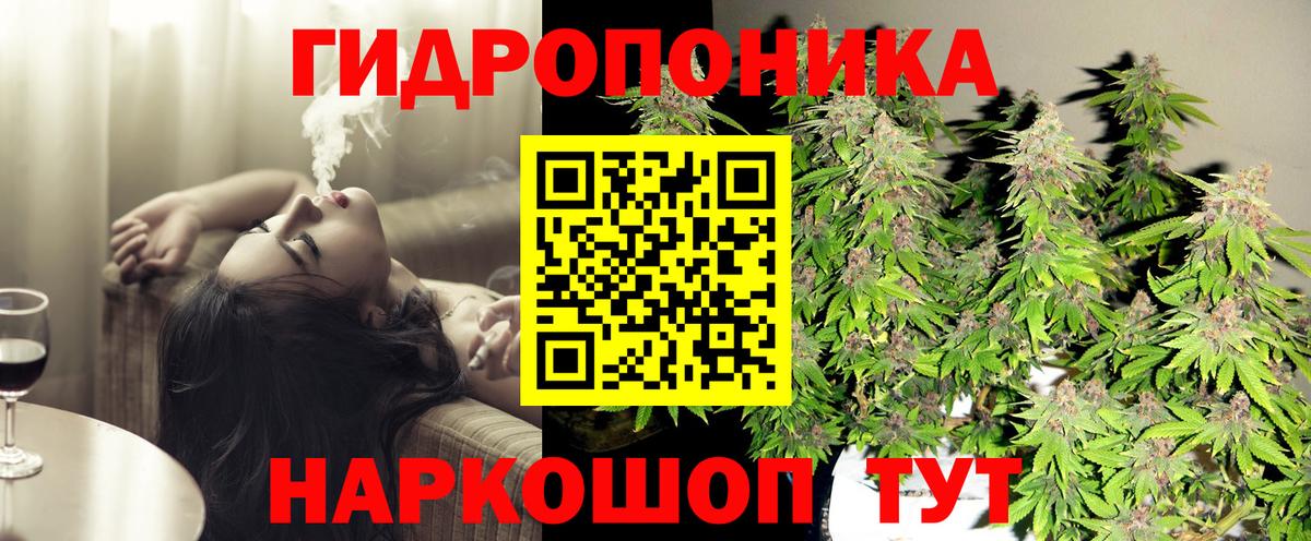 Канабис OG Kush Лиски